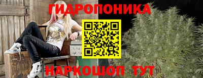 молекула духа Ливны