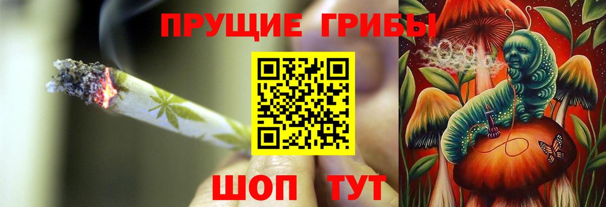 Галлюциногенные грибы Psilocybe Калач-на-Дону